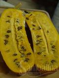 casa banana ، sikana